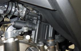 SUZUKI GIXXER 250 SF 2006 ED22B
