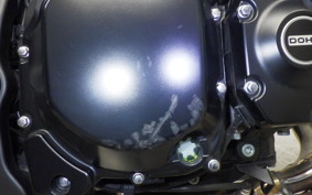 KAWASAKI Z900RS CAFE 2023 ZR900K