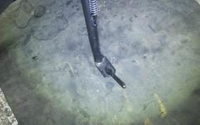 YAMAHA XSR900 2024 RN80J