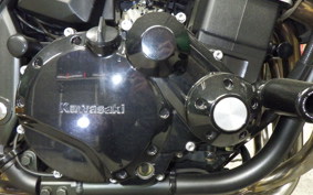 KAWASAKI ZRX1200 D 2013 ZRT20D