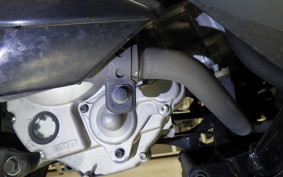 YAMAHA X-MAX 250 SG70J