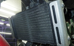 HONDA HORNET 250 2015 MC31