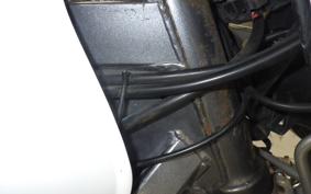 HONDA HORNET 250 MC31
