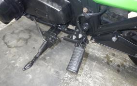 KAWASAKI Z750 GP 2026 KZ750R