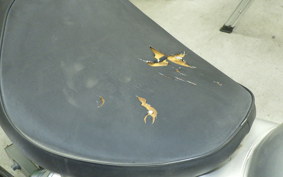 HONDA MAGNA 50 2024 AC13