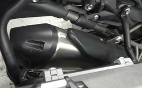 TRIUMPH TIGER 800 2019