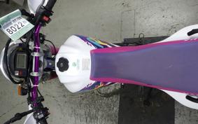 YAMAHA TT250R RAID 2009 4GY