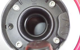 DUCATI 1299 SUPER レッ(ショ