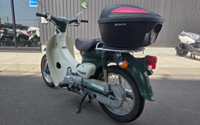 HONDA LITTLE CUB C50