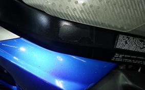 SUZUKI GSX-R1000 2010