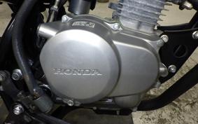 HONDA APE 50 2007 AC16