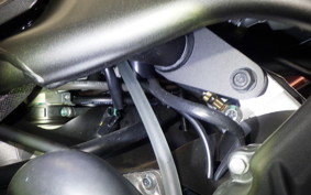 KAWASAKI ZX-4RR 2025 ZX400P