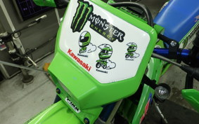 KAWASAKI KDX250SR 2025 DX250F