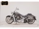 Фото Harley FLSTN 1580 2014 с японского аукциона