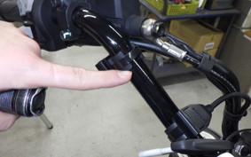 DUCATI SCRAMBLER ICON 2024