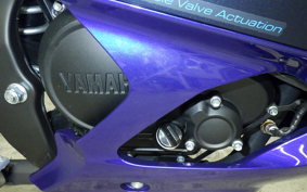 YAMAHA YZF-R15 1999 RG86J