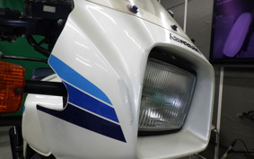 KAWASAKI GPZ250 2021 EX250C