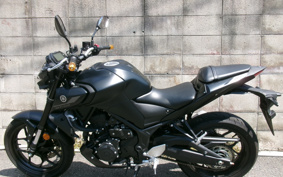 YAMAHA MT-03 2024 RH21J