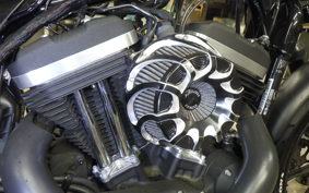 HARLEY XL883N 2019