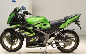 KAWASAKI NINJA150RR