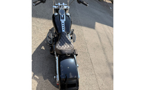 HARLEY FLFBS 2018 YGK