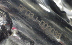 YAMAHA XJR1300 2006 RP03J