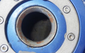 SUZUKI GOOSE 250 NJ46A