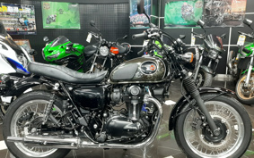KAWASAKI W800 STREET 2022 EJ800E