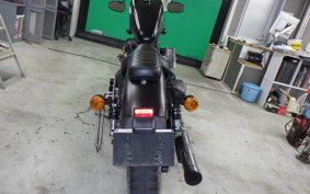 HARLEY XL883N 2015