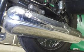 KAWASAKI W800 2015 EJ800A