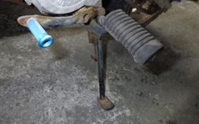 HONDA MONKEY 2009 Z50J
