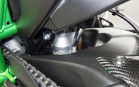 KAWASAKI NINJA H2 CARBON 2021 ZXT02J