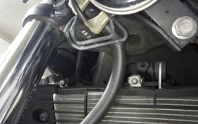 YAMAHA MT-25 2009 RG43J