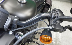 HARLEY XL883N 2021