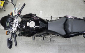 YAMAHA FZ1 FAZER 2012 RN21J