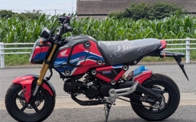 HONDA GROM JC92