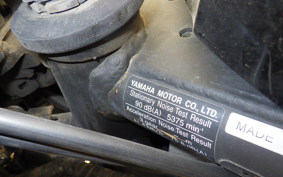 YAMAHA YZF R-3 2021 RH13J