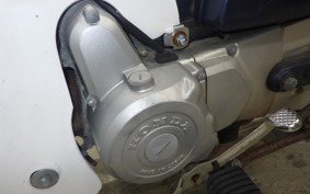 HONDA C50 SUPER CUB E 2019 AA01
