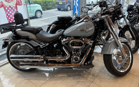HARLEY FLFBS 2024 YGK