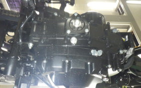 OTHER +CF PAPIO XO-2 2019