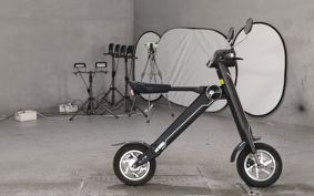 OTHER  BLAZE  SMART EV ..