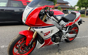 YAMAHA XSR900 GP 2025 RN96J