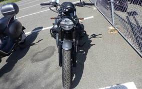 MOTO GUZZI V7 STONE 2025