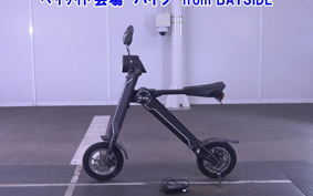 OTHER MINI BIKE