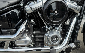 HARLEY FXST1340-1450 2025 BVJ