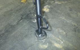 OTHER +UNREGISTERED MODEL by BDS125