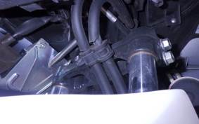 HONDA PCX125 2001 JF81