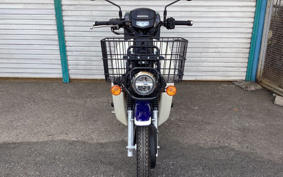 HONDA C110 SUPER CUB PRO 2022 JA61
