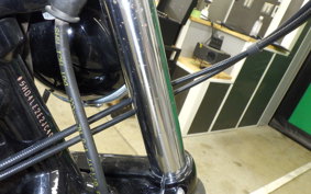 HARLEY XL883N 2018