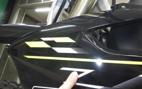 TRIUMPH TF450X 2024
